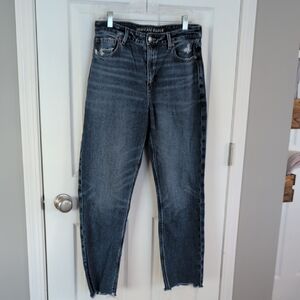 American Eagle Outfitters Women's Medium Wash Mom Jeans